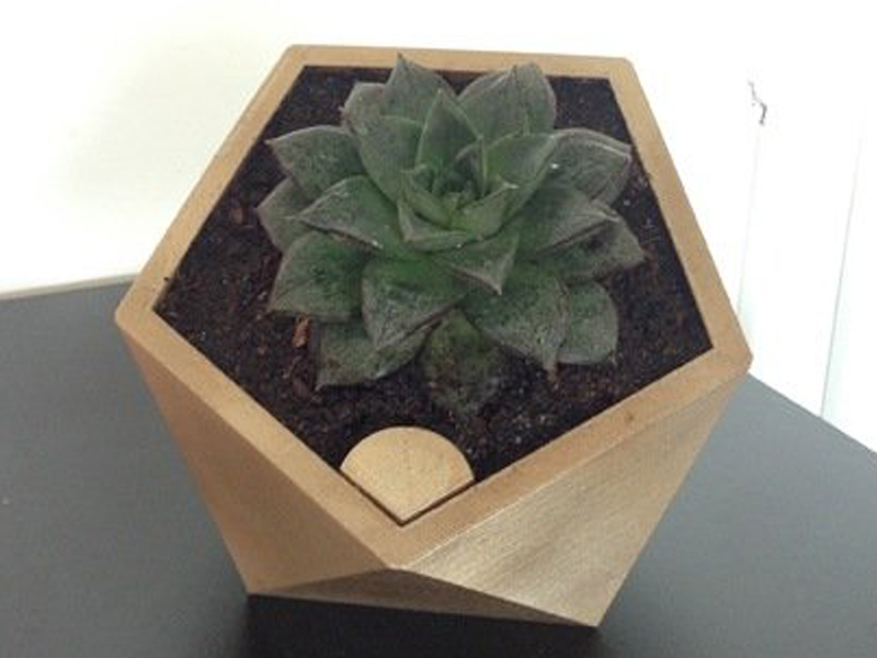五角自动浇水花盆/珠宝盒3D打印模型免费STL文件下载-深圳市博易特智能科技有限公司
