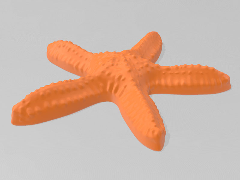 海星3D打印模型免费STL文件下载-深圳市博易特智能科技有限公司
