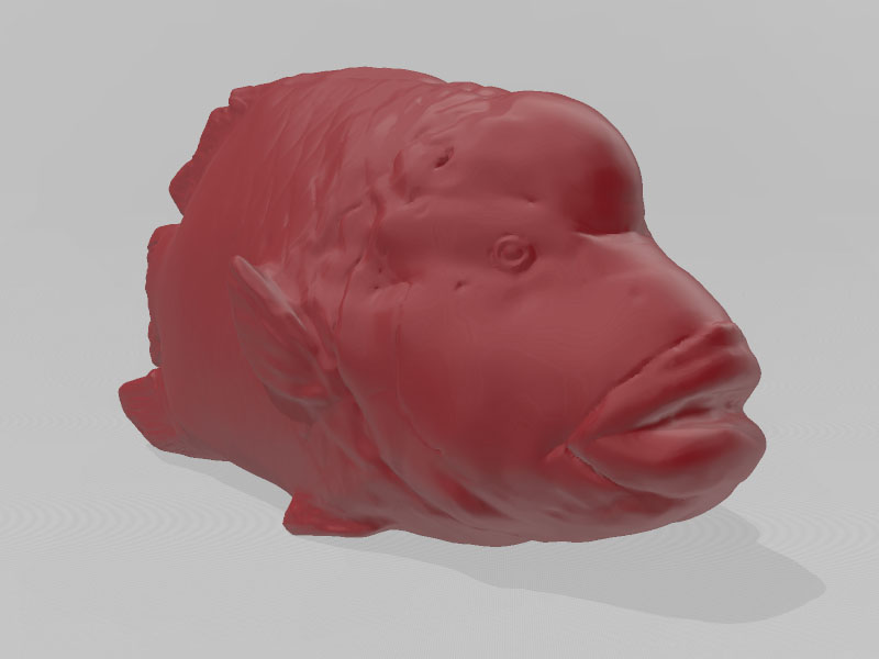 拿破仑鱼3D打印模型免费STL文件下载-深圳市博易特智能科技有限公司