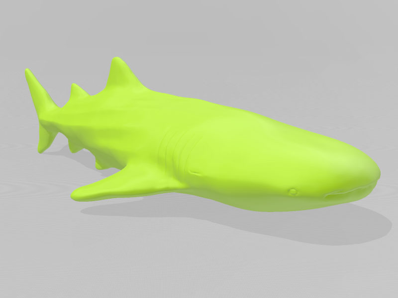 鲸鲨3D打印模型免费STL文件下载-深圳市博易特智能科技有限公司