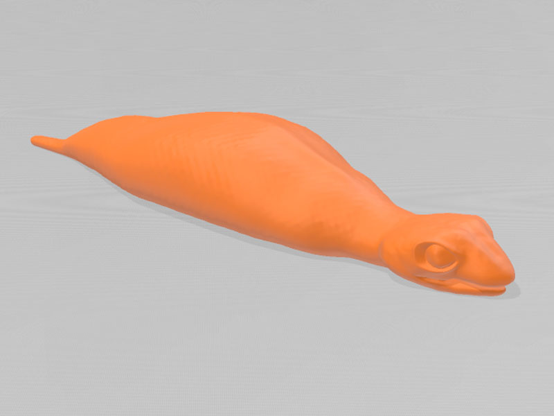 野槌蛇tutinoko-3D打印模型免费STL文件下载-深圳市博易特智能科技有限公司