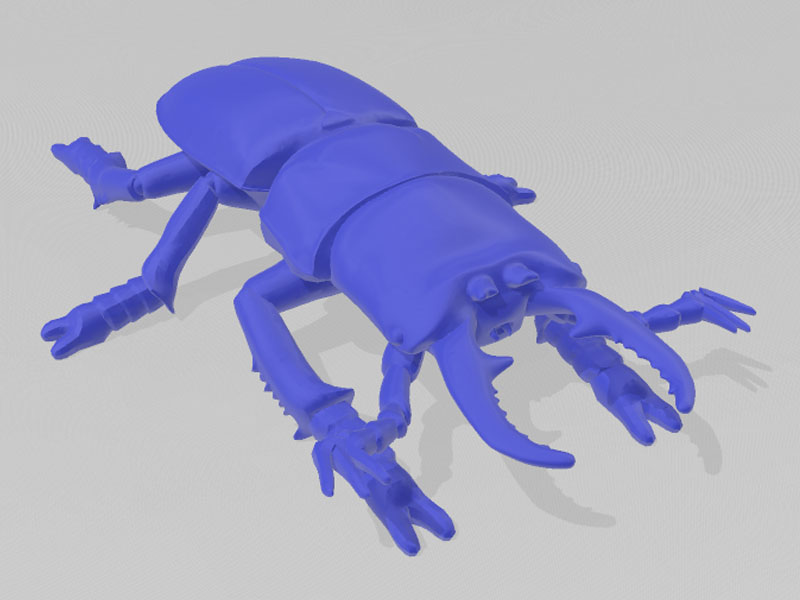 鹿甲虫3D打印模型免费STL文件下载-深圳市博易特智能科技有限公司