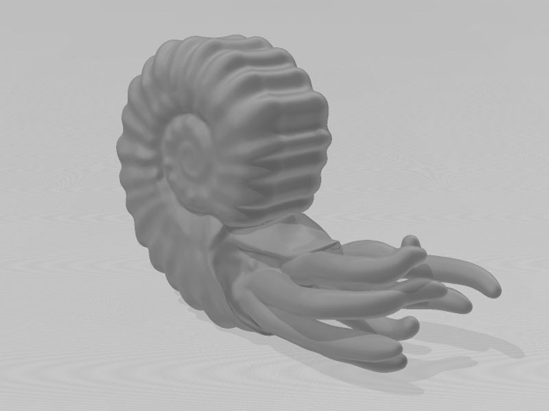 菊石3D打印模型免费STL文件下载-深圳市博易特智能科技有限公司