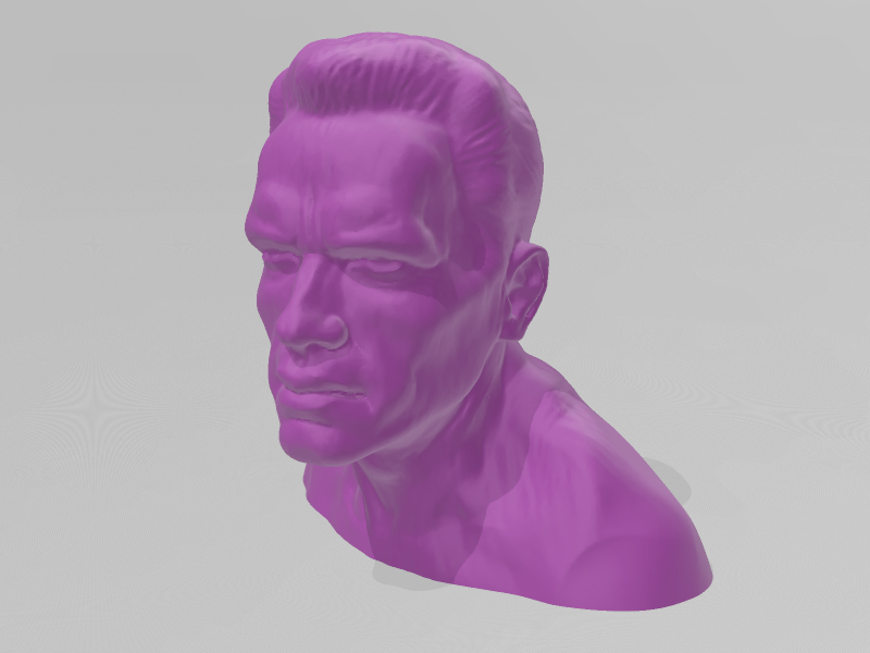 阿诺德施瓦辛格半身像3D打印模型免费STL文件下载-深圳市博易特智能科技有限公司